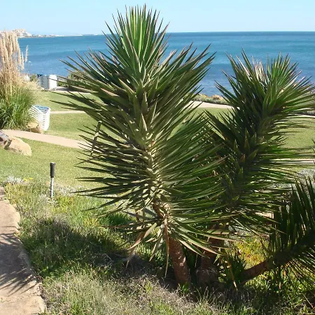 Apartamento Costa Natura 602 *